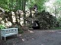 Waldenburg (95)